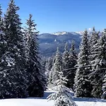 1 Bedroom Luxury Milena -free Parking Apartment Pamporovo