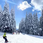 Apartment 1 Bedroom Luxury Milena -free Parking Pamporovo