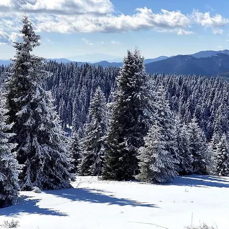 1 Bedroom Luxury Milena -free Parking Apartment *