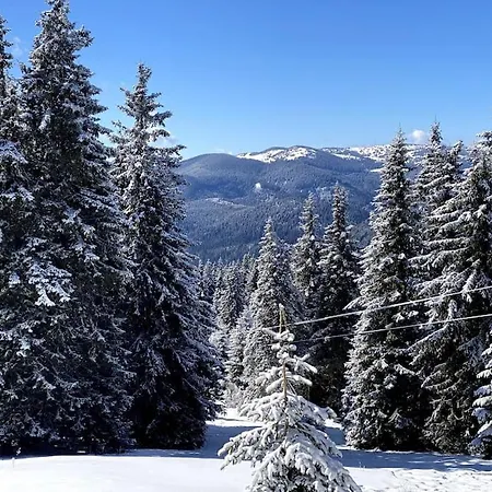 1 Bedroom Luxury Milena -free Parking Apartament Pamporovo