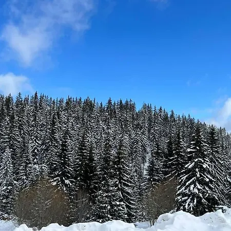 Apartment 1 Bedroom Luxury Milena -free Parking