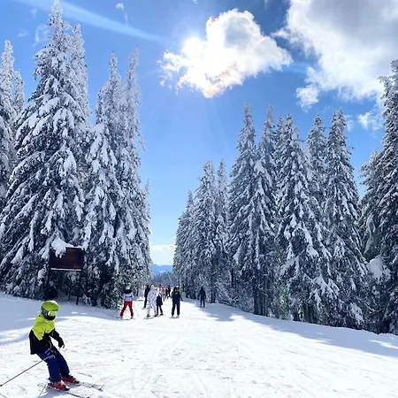 Apartment 1 Bedroom Luxury Milena -free Parking Pamporovo