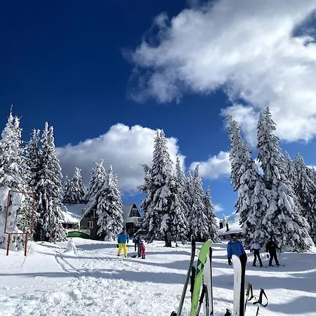 Apartment 1 Bedroom Luxury Milena -free Parking Pamporovo