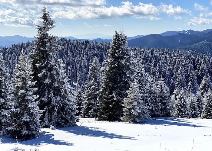 1 Bedroom Luxury Milena -free Parking Apartment *