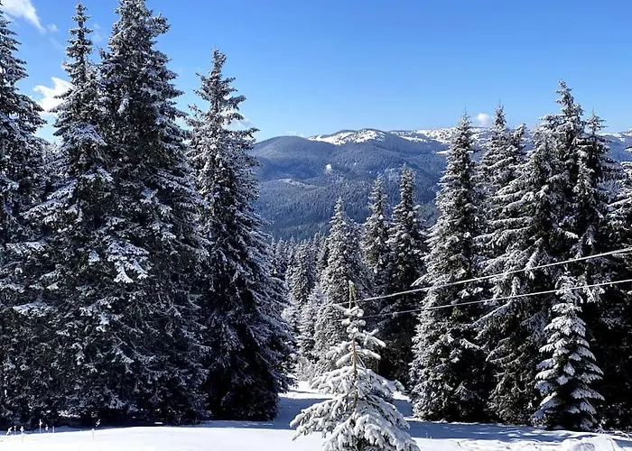 1 Bedroom Luxury Milena -free Parking Apartment Pamporovo