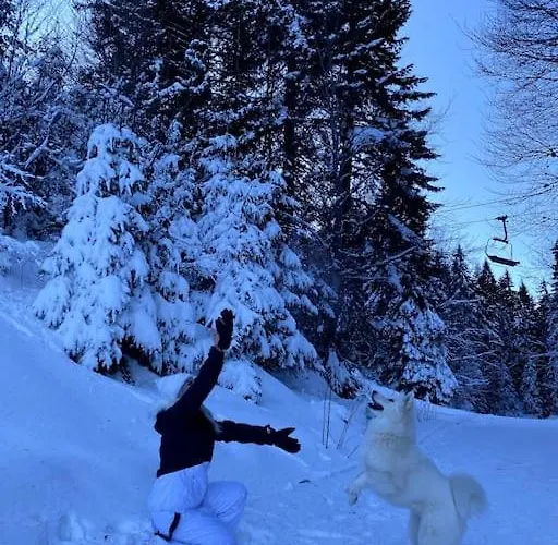 Apartamento 1 Bedroom Luxury Milena -free Parking