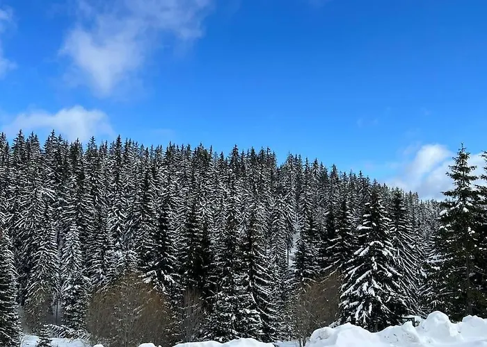 Apartamento 1 Bedroom Luxury Milena -free Parking