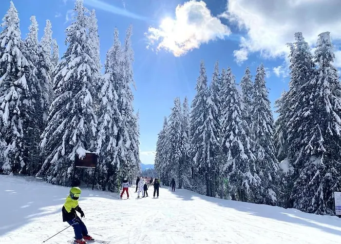 Apartment 1 Bedroom Luxury Milena -free Parking Pamporovo